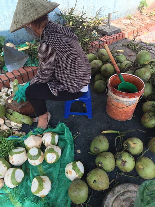 Hình ảnh những quả dừa non được gọt vỏ sau đó ngâm vào xô nước có hóa chất lạ.