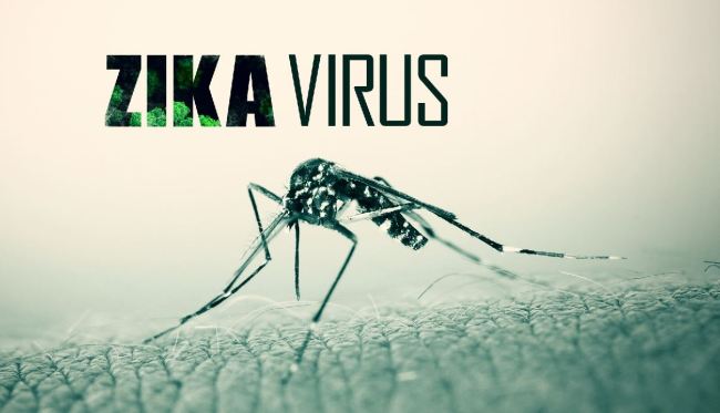 Hầu khắp các quận, huyện tại TP HCM đã bị virus Zika tấn công. 
