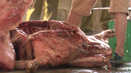 Bộ NN&PTNT cảnh báo tình trạng giết mổ lợn chết, bệnh tuồn ra thị trường. Lao Động 