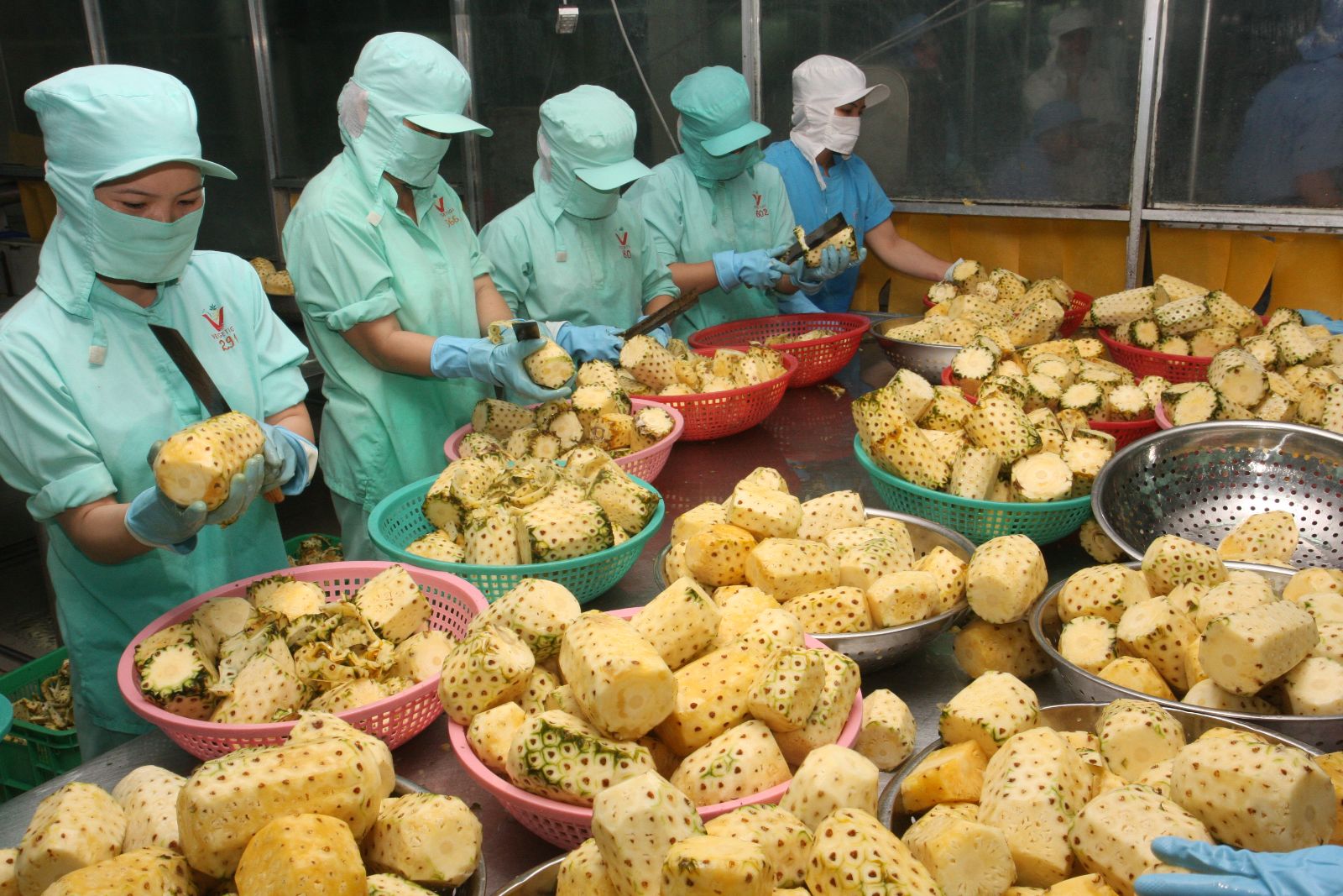 Ngành xuất khẩu nông sản Việt Nam đang đứng trước nhiều thách thức. Ảnh minh họa