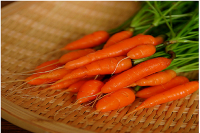 Kỹ thuật trồng cây cà rốt tí hon mang đến cho cả nhà nguồn dinh dưỡng cực tốt. Ảnh minh họa 