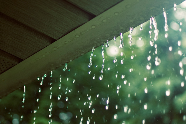 Nước mưa cũng có nguy cơ gây hại cho sức khỏe. Ảnh minh họa 