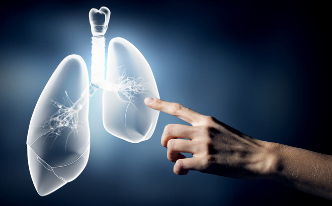 Không chỉ có thuốc lá mà một số thực phẩm chứa chất asen cũng là thủ phạm gây ra ung thư phổi cho con người. Ảnh minh họa