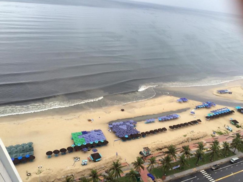 Bãi biển Đà Nẵng nhìn từ trên cao. Ảnh: PL.TPHCM 