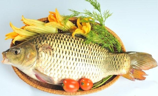 Cá chép cực kỳ bổ dưỡng nhưng những người mắc bệnh guot, gan, thận không nên ăn. Ảnh minh họa 