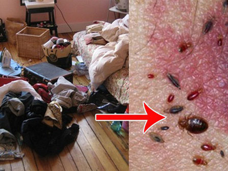  Thói quen vứt quần áo bẩn trên giường vô cùng nguy hiểm. Ảnh minh họa