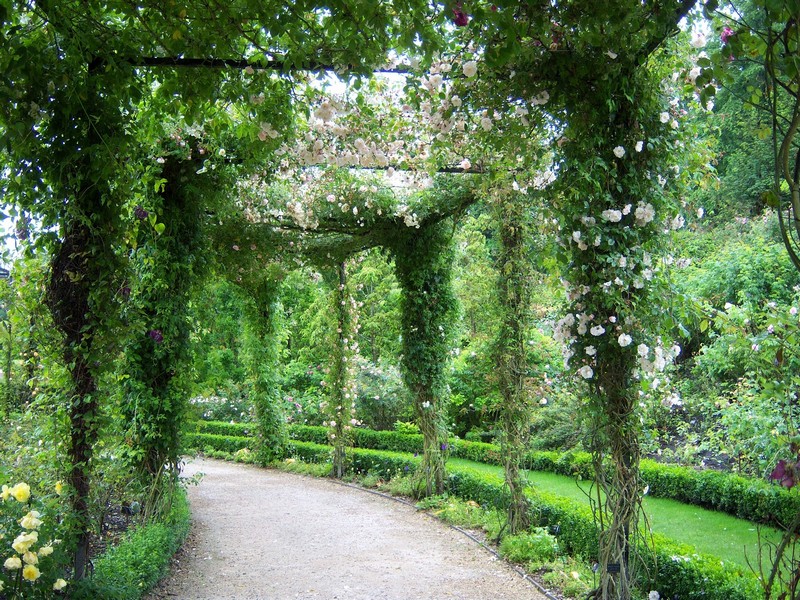 Vẻ đẹp nên thơ và lãng mãn trong khu vườn đã thu hút 800.000 du khách đến thăm mỗi năm. Ảnh: Trí thức trẻ 