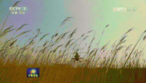 Trực thăng tấn công WZ-10 của Trung Quốc có khả năng bay cực thấp nhưng vẫn khó bị phát hiện. Ảnh: Kiến thức