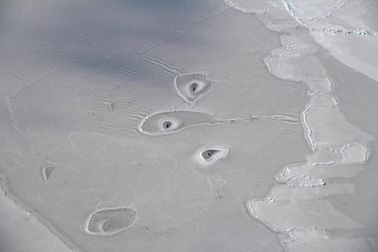Hình ảnh những chiếc lỗ bí ẩn xuất hiện trên Bắc Băng Dương. Ảnh: Người lao động