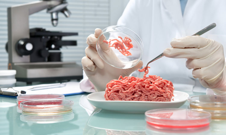  Các nhà khoa học tìm thấy khuẩn E.coli trong thịt bán lẻ. Ảnh: Newfoodmagazine.