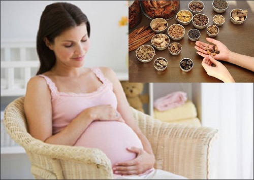  Phụ nữ có thai nên thận trọng khi dùng một số loại thuốc Đông y
