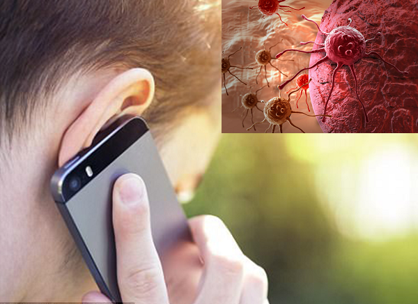  Bức xạ điện thoại có thể kích thích tế bào ung thư phát triển nhanh