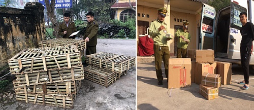 Lực lượng quản lý thị trường Lạng Sơn thu giữ lượng lớn kẹo, mèo nhập lậu từ Trung Quốc về Việt Nam bán 