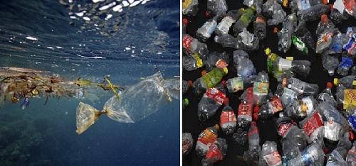 Chất thải nhựa ngoài biển sẽ nhiều hơn lượng cá vào năm 2050   