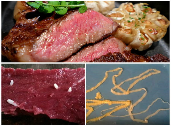 Thường xuyên ăn thịt bò tái có thể nhiễm bệnh sán nguy hiểm tới sức khỏe 