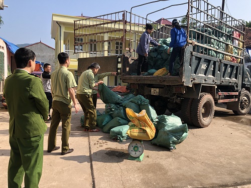 Chặn đứng hành vi xuất lậu chân lợn, lòng lợn qua biên giới