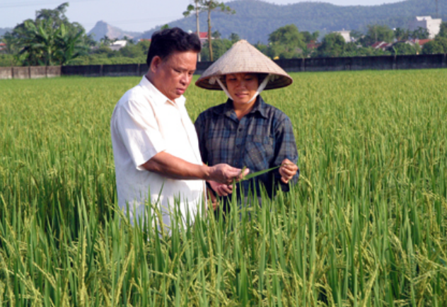 Hỗ trợ doanh nghiệp tiếp cận với tiêu chuẩn quốc tế để nâng cao năng suất và chất lượng