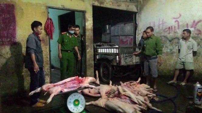 Nếu không bị phát hiện, lượng thịt lợn chết Hưng Yên này sẽ được bày bán tràn lan trên thị trường