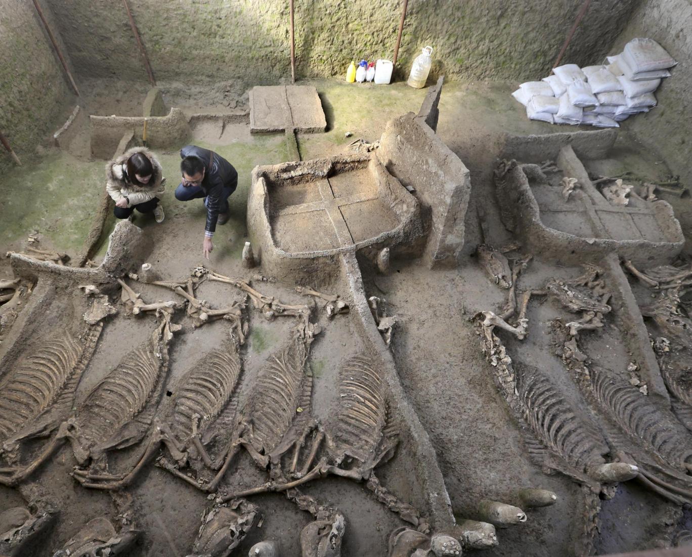 Ngôi mộ cổ chứa xương ngựa và những cỗ xe