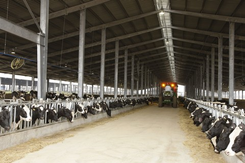 Tập đoàn TH chú trọng ứng dụng công nghệ cao từ các nước tiên tiến để nâng cao năng suất chất lượng sản phẩm sữa tươi