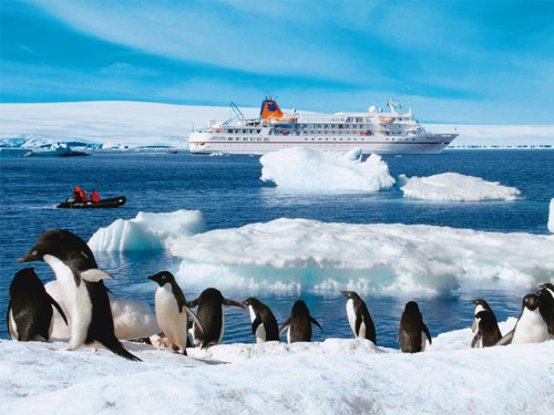 Nhiệt độ tại Nam Cực tăng cao, đạt mức kỷ lục 17,5 độ C