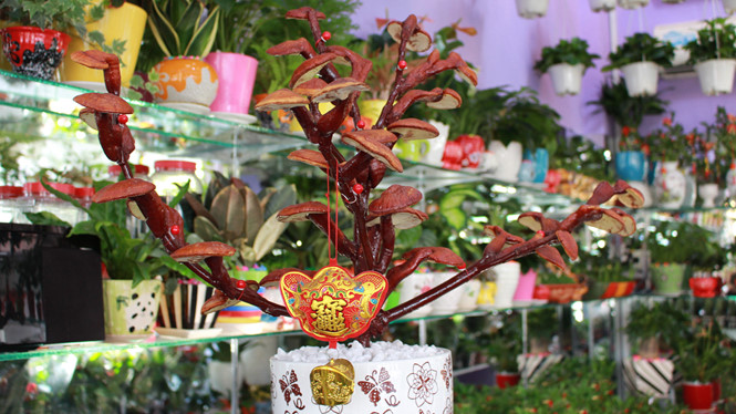 Giá nấm linh chi bonsai có thể lên tới cả chục triệu đồng nhưng luôn trong tình trạng hết hàng