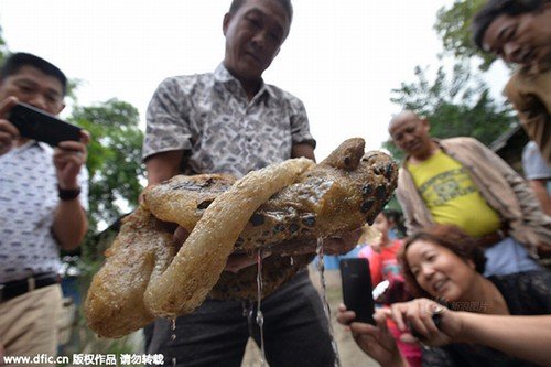Cận cảnh ‘sinh vật lạ’ nghi là nấm linh chi ngàn năm tuổi ở Trung Quốc
