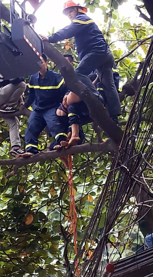 Cảnh sát và lực lượng cứu hộ giải cứu người đàn ông cố thủ trên cành cây