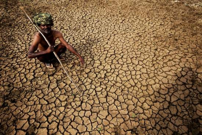 Người nông dân bên cánh đồng khô cằn, đất nứt nẻ vì cái nắng nóng 2016 tại Ấn Độ