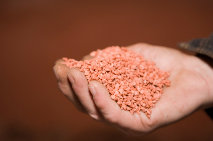 Kali là một trong các nguyên tố dinh dưỡng đa lượng giúp cho cây trồng sinh trưởng và kiến tạo năng suất,