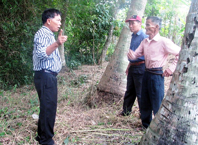 dd.vietq.vn.jpg dd.vietq.vn.jpg