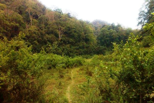 Đường vào bản Kịt phải đi bộ nhiều km đường rừng nên công tác cứu hộ vụ 3 phu vàng bị ngạt khí độc gặp nhiều khó khăn