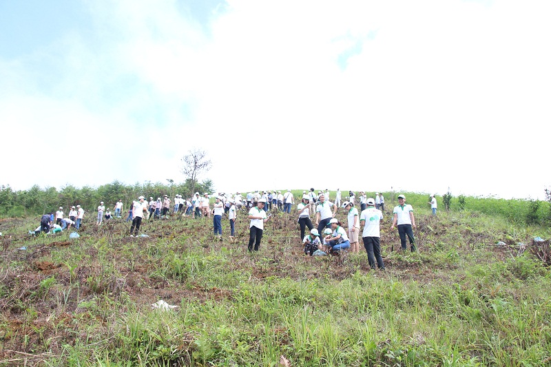Lãnh đạo Công ty Canon Việt Nam và các tình nguyện viên tham gia trồng rừng Vì một Việt Nam xanh