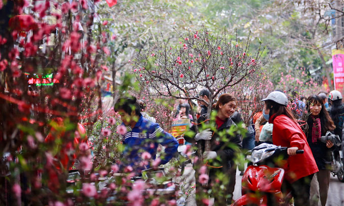 Wifi miễn phí ở các chợ hoa lớn dịp Tết