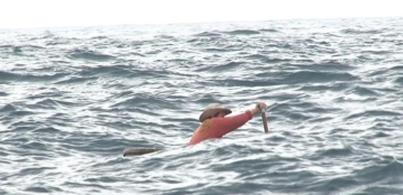 Tìm kiếm 2 ngư dân mất tích trên biển Quảng Nam