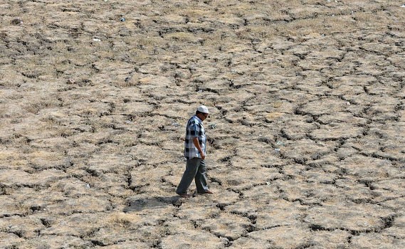 Đợt nắng nóng kéo dài khiến hồ Ahmad Sar ở Ahmedabad khô nứt nẻ