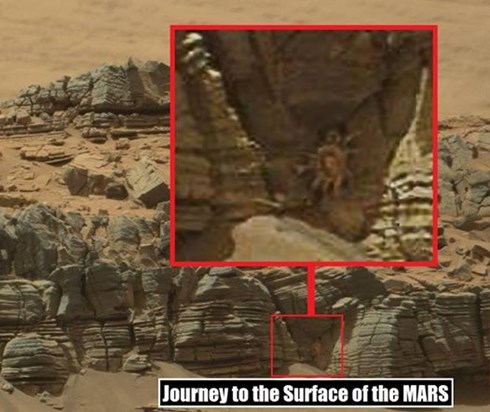 Bức ảnh chụp ‘người ngoài hành tinh’ trên Sao Hỏa đang gây xôn xao hiện nay