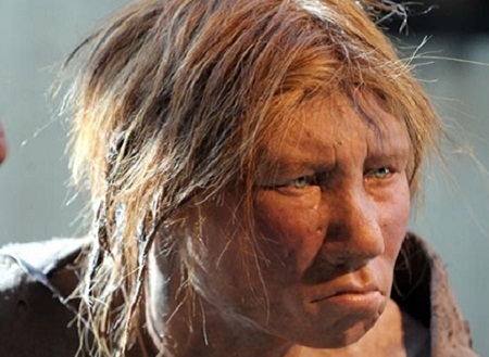 Người nguyên thủy Neanderthal với hình dáng đặc trưng: chiếc mũi nhô ra trên một khuôn mặt to lớn, vầng trán đồ sộ và không có cằm