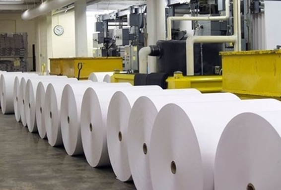 Sản xuất giấy càng trắng càng nguy hại sức khẻo và môi trường. TNCK