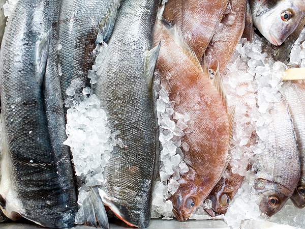 Không nên bảo quản cá và các loại hải sản quá lâu trong tủ lạnh. 