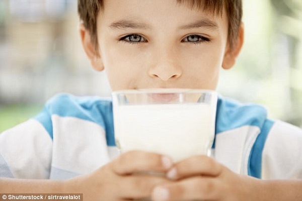 Liệu sữa bò có phải là loại thức ăn toàn năng cho sự phát triển của trẻ?