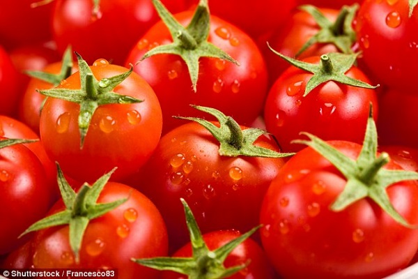 Cà chua ngon nhất khi bảo quản ở nhiệt độ 25 độ c.