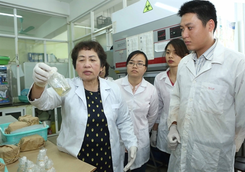 Phó Giáo sư, Tiến sỹ Đặng Thị Cẩm Hà, hướng dẫn các nghiên cứu sinh trong phòng thí nghiệm