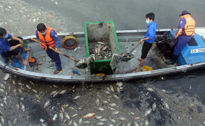 Vớt cá chết trên kênh Nhiêu Lộc - Thị Nghè