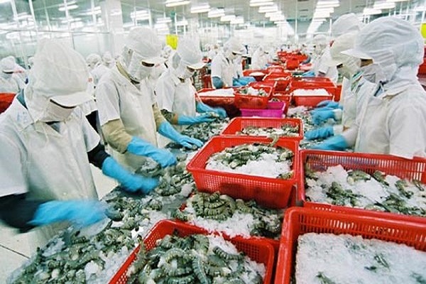 Australia kiểm tra chuỗi sản xuất tôm xuất khẩu tại Việt Nam