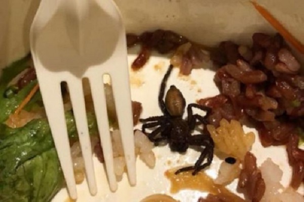 Cách xử lý bất ngờ của chủ cửa hàng khi thực khách phát hiện nhện trong đồ ăn 