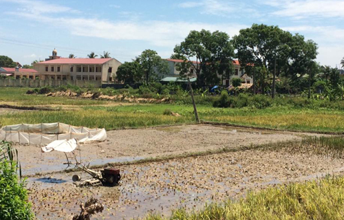 Thửa ruộng nơi người nông dân Thanh Hóa gặp nạn tử vong