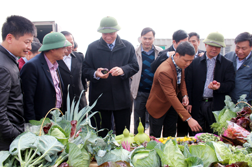 Dự án Khu nông nghiệp ứng dụng công nghệ cao Đông Triều