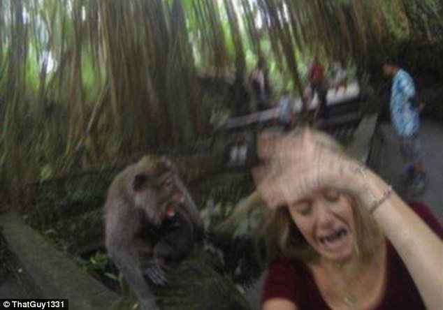 Nữ du khách bị khỉ tấn công khi cố chụp ảnh 