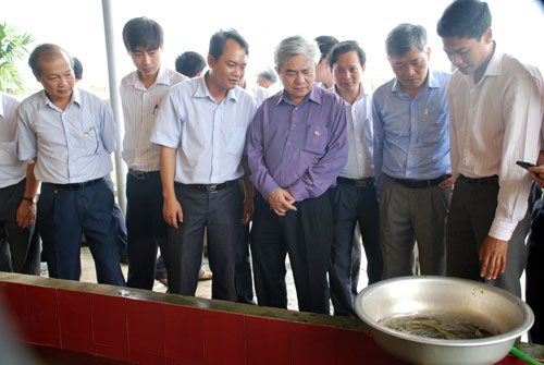 Hội đồng Khoa học tỉnh Phú Thọ vừa nghiệm thu cơ sở dự án khoa học cấp Nhà nước do Trung ương quản lý: Xây dựng mô hình ứng dụng công nghệ sản xuất và nuôi thương phẩm cá Lăng chấm, cá Anh Vũ.